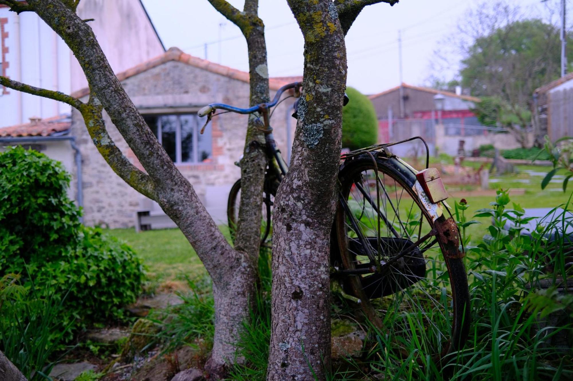 Les Chambres De La Forge Des Collines Les Herbiers Εξωτερικό φωτογραφία